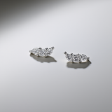Posie Earrings - Silver