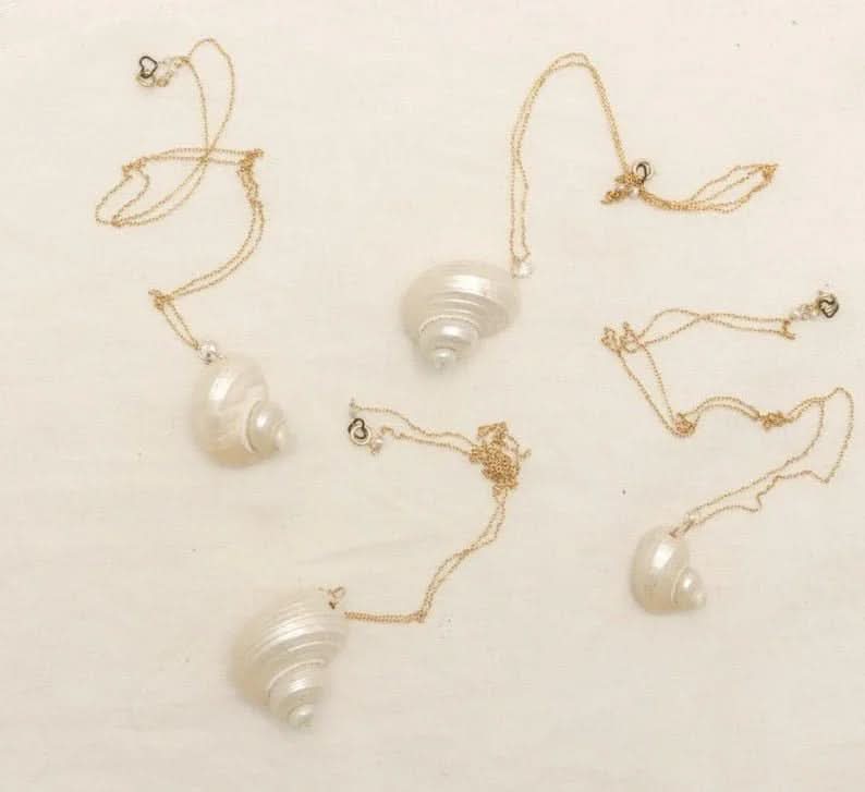 Natural Shell Necklace