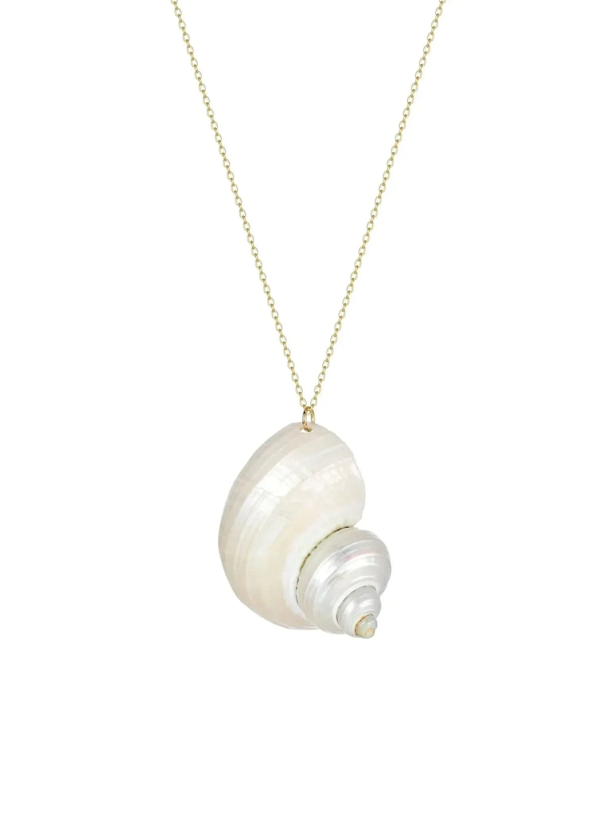 Natural Shell Necklace